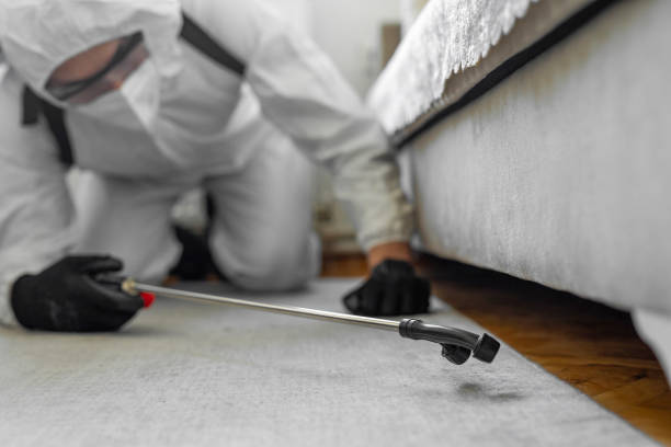 Professional Termite Control technician working in Tavernier, FL
