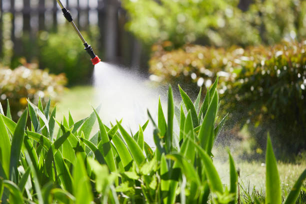 24/7 Emergency Termite Control experts in Tavernier, FL